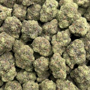 Purple Gruntz